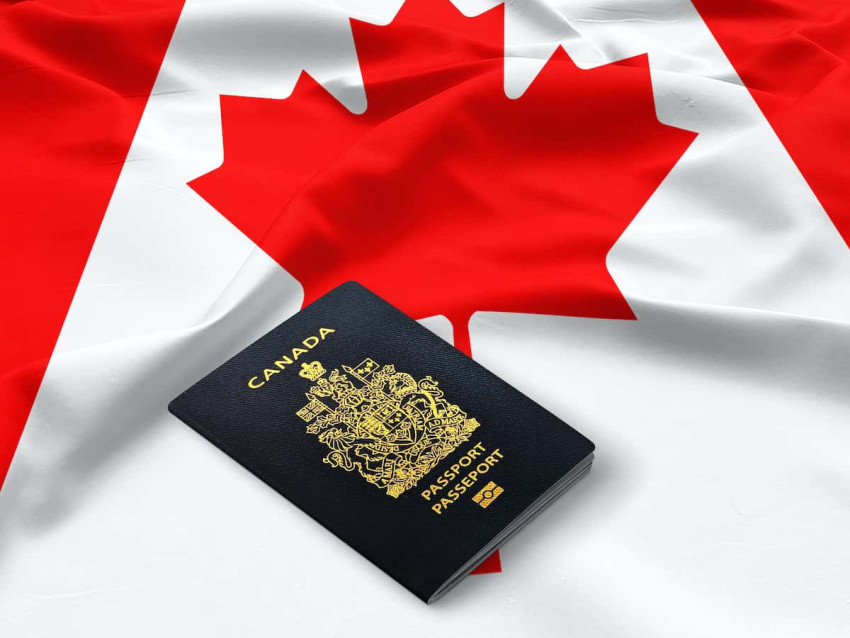 Attain Immigration Goals with the Professional Immigration Consultant