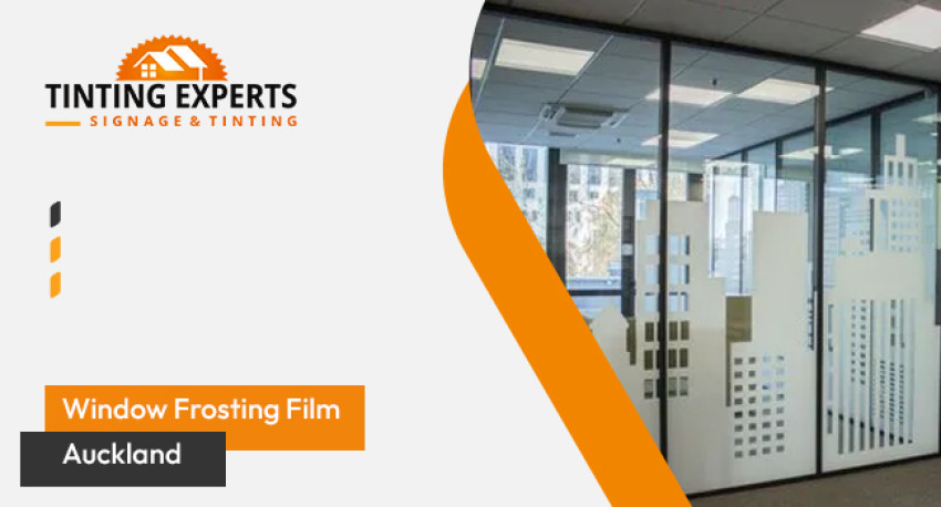 Improve Your Environment with Window Tinting Solutions in Auckland
