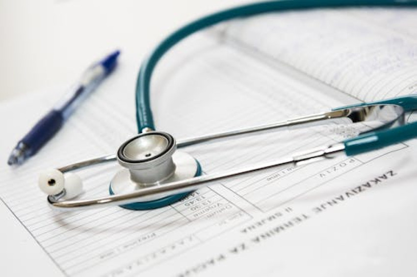 Essential Facts About Fenbendazole and Ivermectin Safety: What You Need to Know