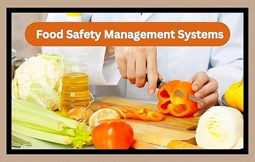 A Comprehensive Overview of Food Safety Management Systems and Practices