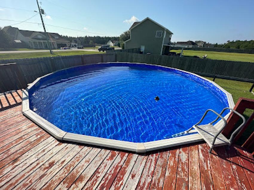 DIY vs. Professional Pool Repair: What's Best for You?