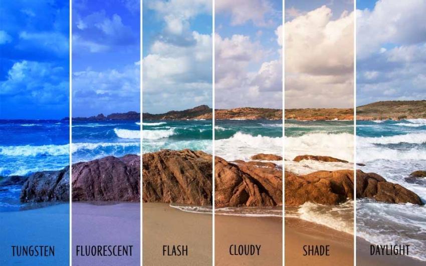Edit Like a Pro: 10 Quick Tips to Save Time and Work Smarter