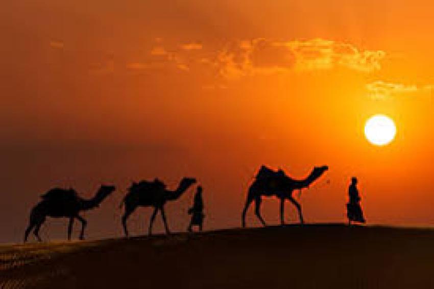 Inter India Tours Operator Offers a Variety of Tour Packages for Rajasthan