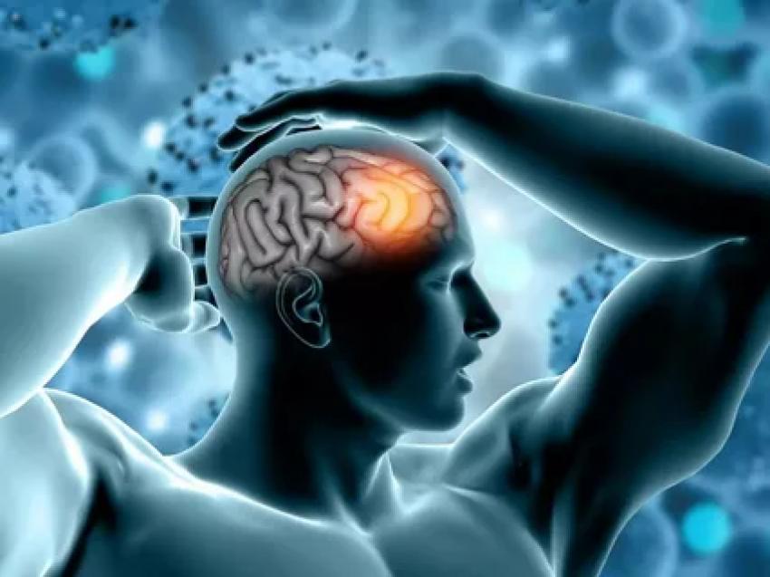 Can Brain Health Services Help You Stay Sharp As You Age?