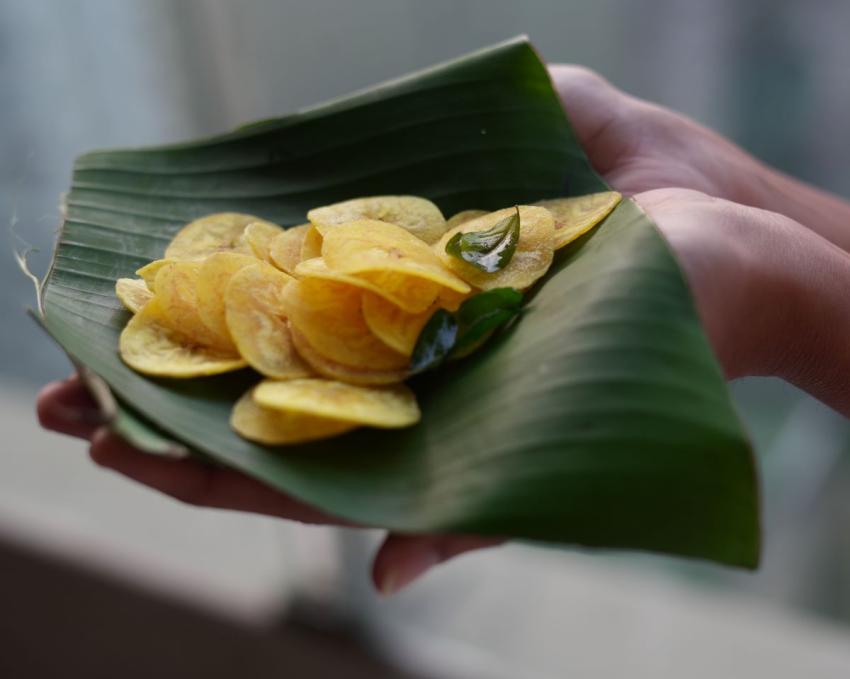 Bite Into the Truth: Plantain Chips Q&A