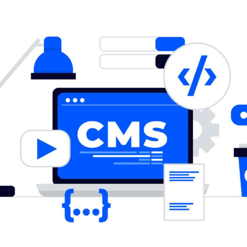 How Australian SMEs Can Expand Online with Custom WordPress Development