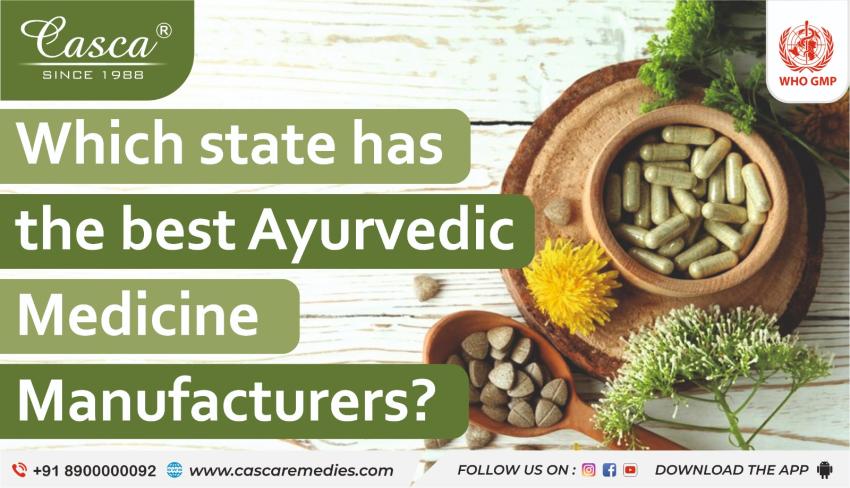 Which state has the best Ayurvedic medicine manufacturers?