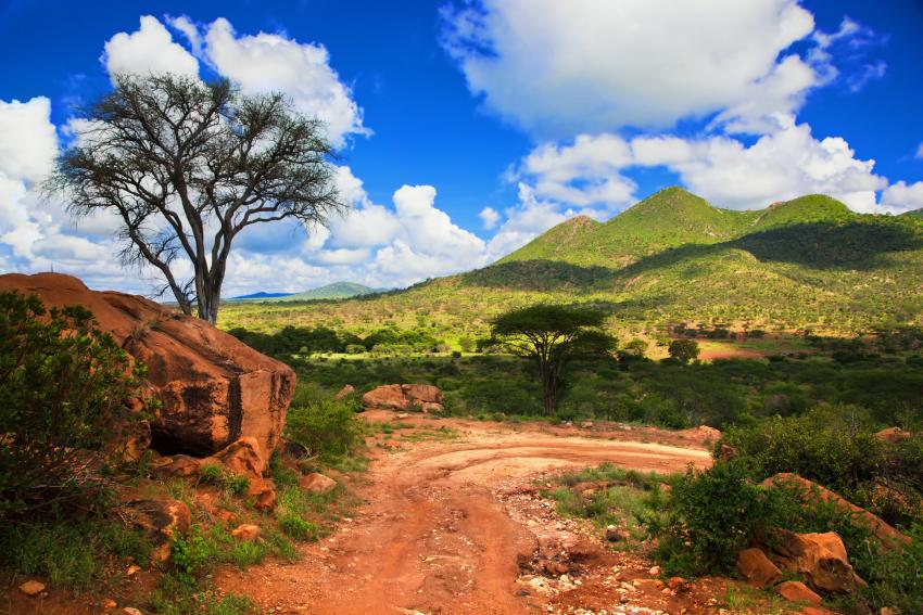 What makes group Waterberg Plateau Safaris ideal for families