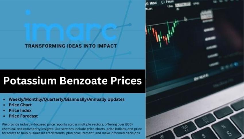 Monitor Potassium Benzoate Price Chart, Index & Forecast Insights