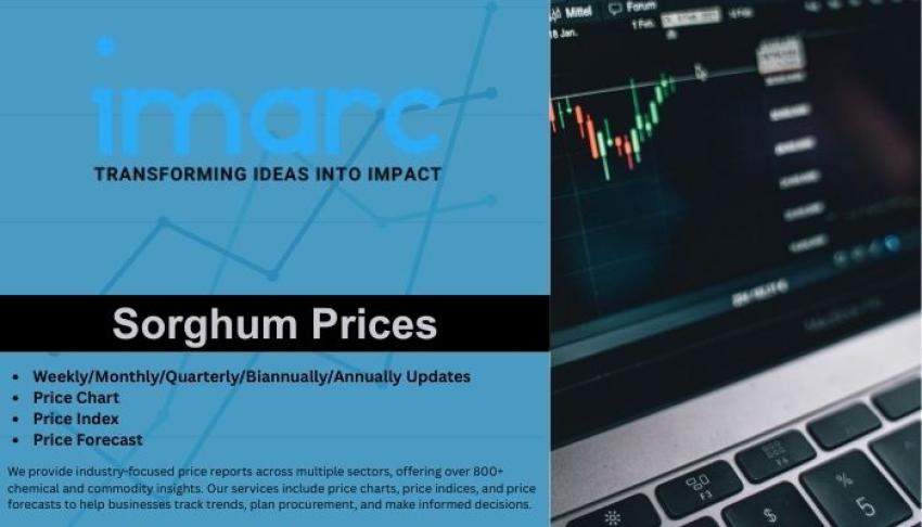 Sorghum Price Index and Latest Trend Report – Q2 2025