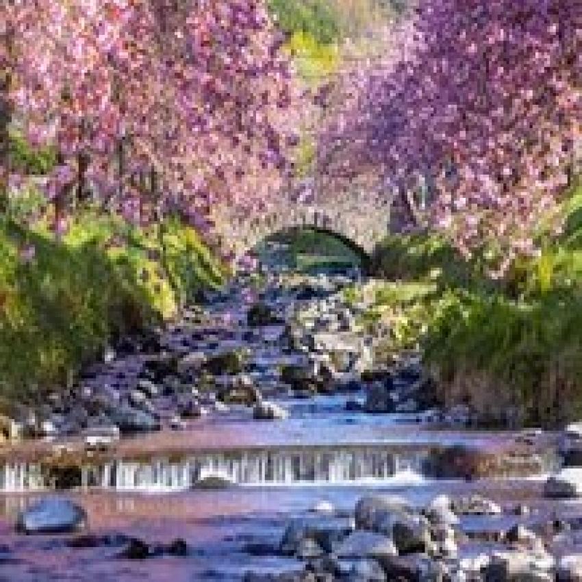 Your Ultimate Guide: Solo Female Travel in Glasgow, Scotland