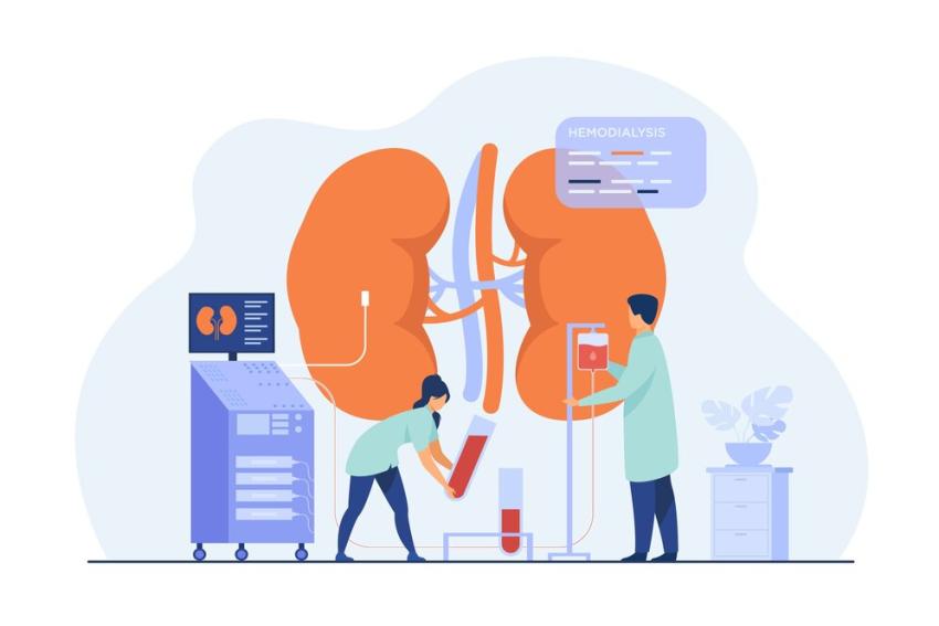 Nurture Your Kidneys: Expert Tips for Kidney Health