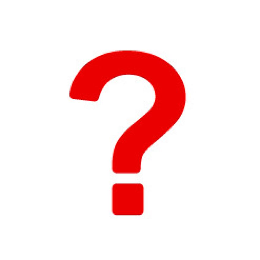What is Nedir.life? Turning Curiosity into Understanding