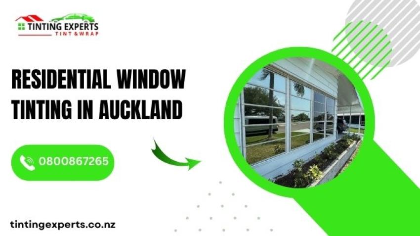 Enhancing Homes and Workplaces with Window Tinting Solutions in Auckland
