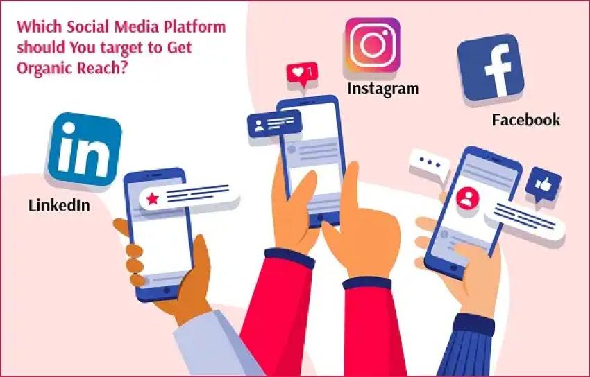 Make You Big – The Trusted Social Media Agency in Noida for Brand Growth