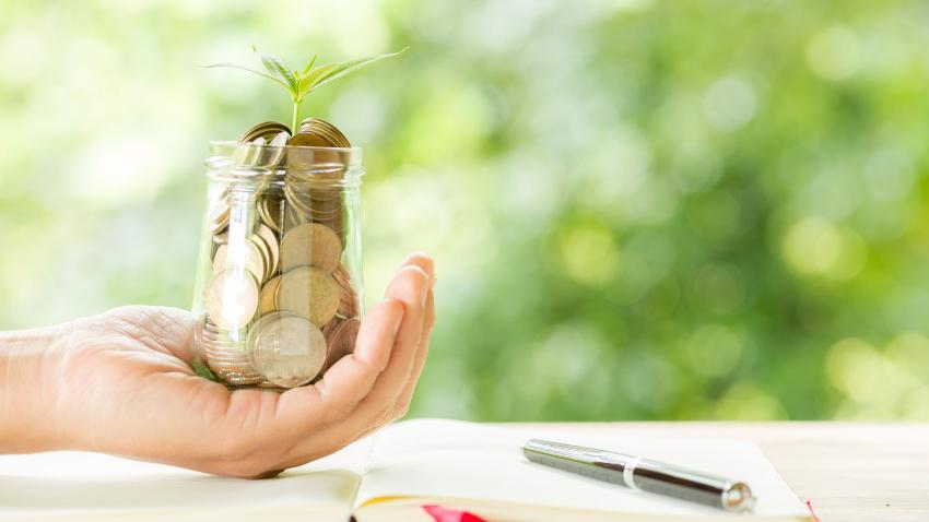 Does the Best Mutual Fund Software Help You View CAS Quickly?