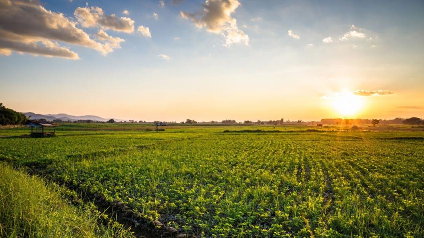 How Is AI Changing Crop Yield Prediction in the USA?