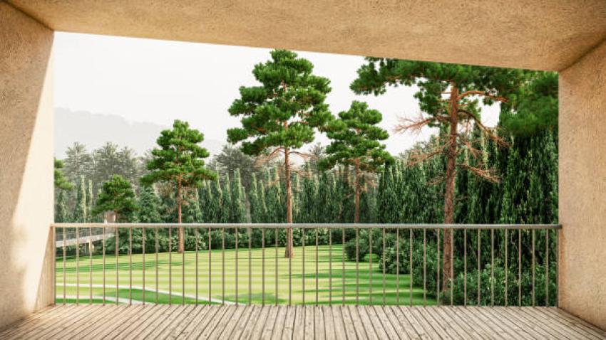 How a Landscape Designer Tackles Drought-Resistant Planting