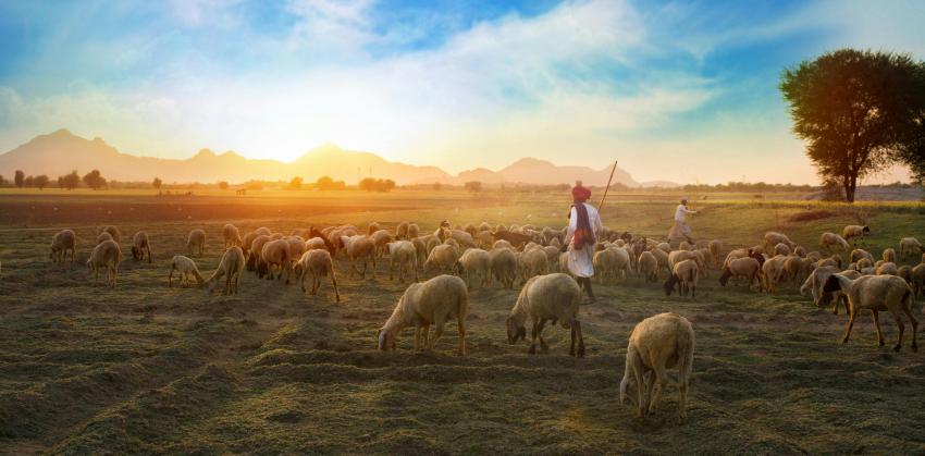 So You're Thinking About Rajasthan? Here's What I Wish Someone Told Me