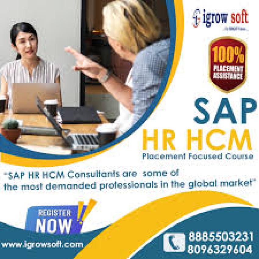 What are the main components of the SAP HR module?