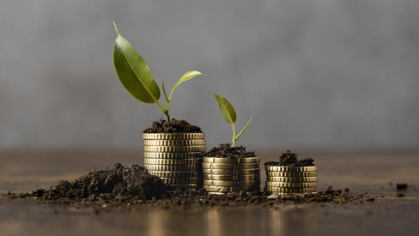 Can MFDs Place SWP Transactions Through Mutual Fund Software?