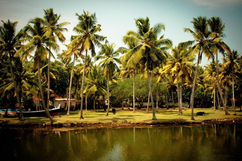Kerala Tour Packages for Scenic and Cultural Travel