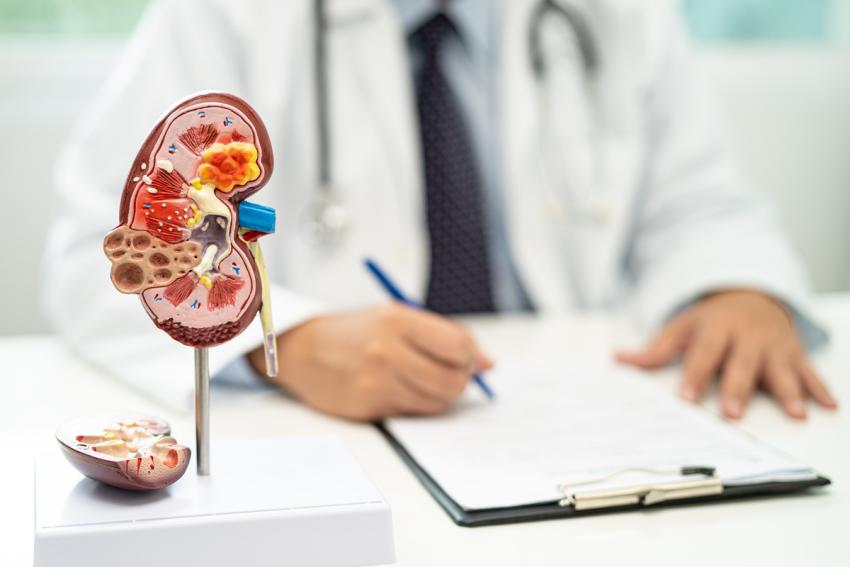 How Delhi Hospitals Perform Painless Laser Kidney Stone Removal ?
