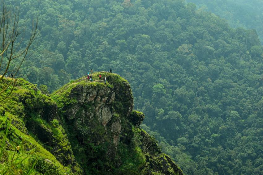 Everything You Need to Know Before Booking Kerala Tour Packages
