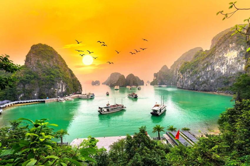 The Street Food in Vietnam That Stays With You Long After the Trip Ends