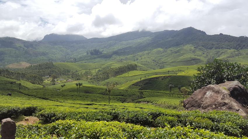 Affordable Guide for a Budget Friendly Trip in Kerala