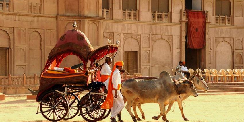 Explorar Viaje Familiar a la India