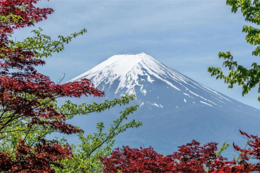 Summer Festivals in Japan You Must Experience