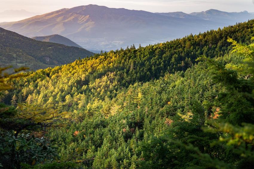 Why Kerala Is India’s Top Sustainable Tourism Destination in 2026