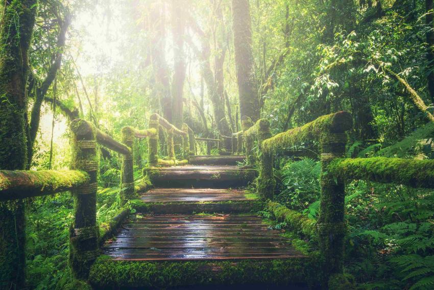 Kerala on a Budget: How to Plan an Affordable Trip Without Missing Highlights