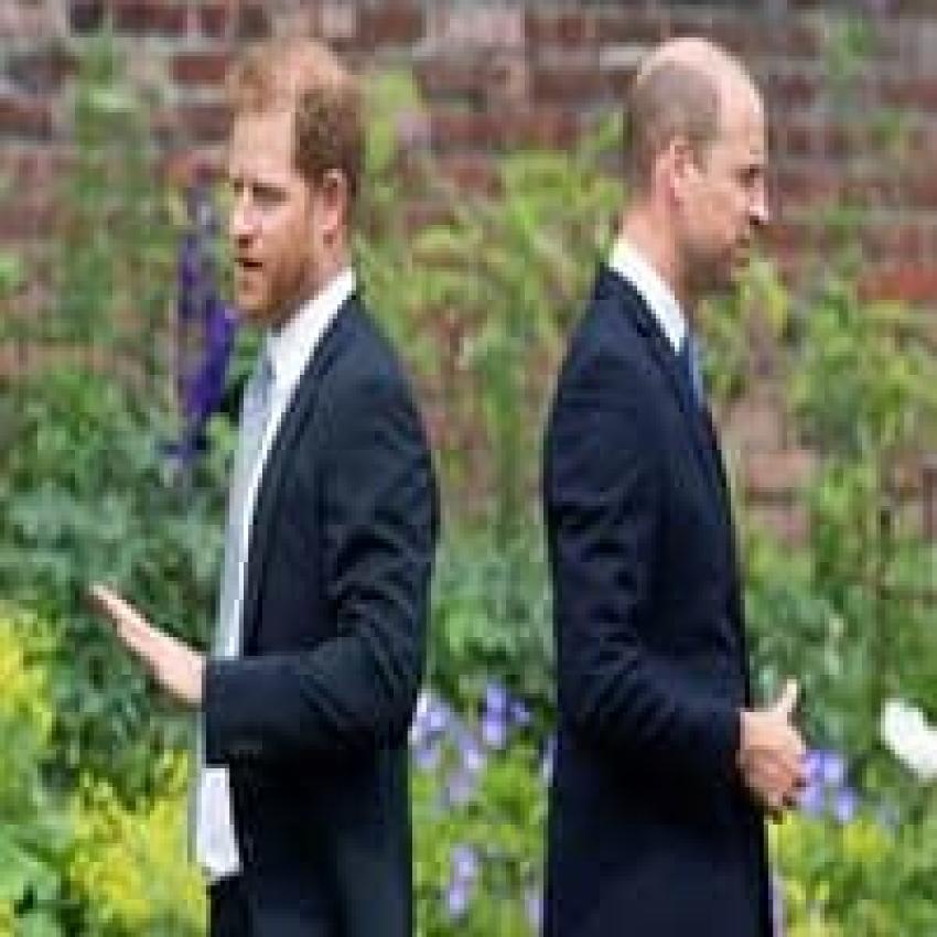Why Some People in the UK Prefer a Republic Over Prince Harry Potentially Becoming King