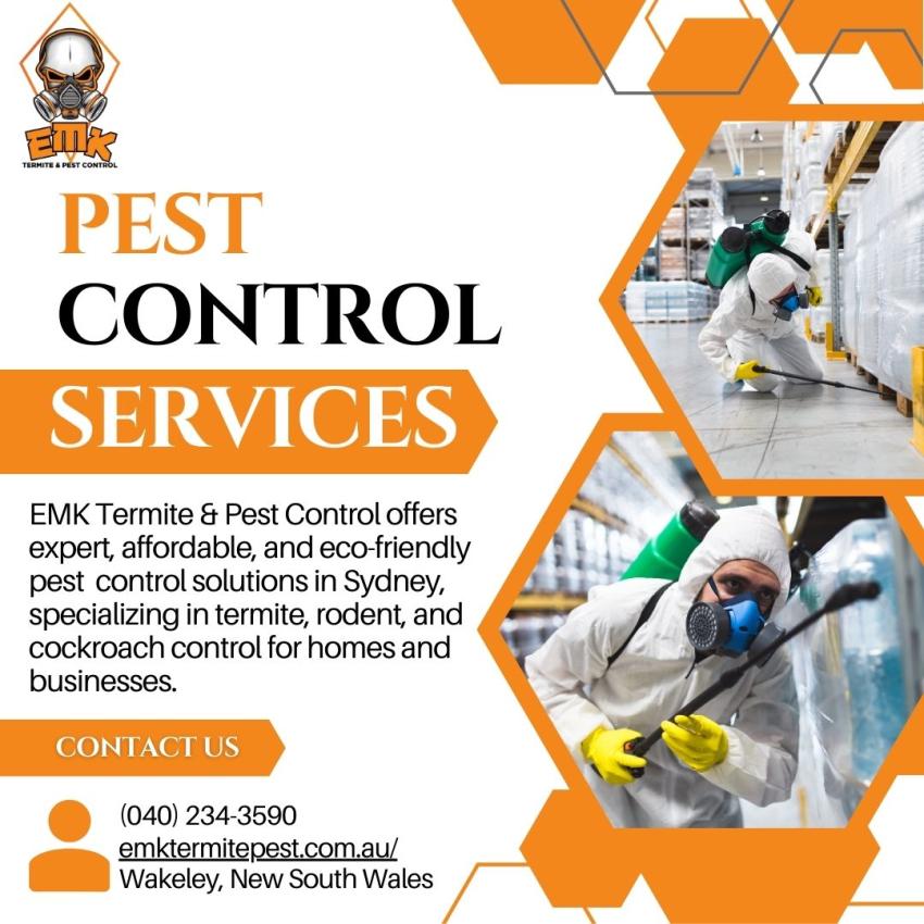 How to Prepare Your Home for Professional Pest Control Treatment