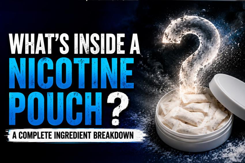 What's Inside a Nicotine Pouch? A Complete Ingredient Breakdown