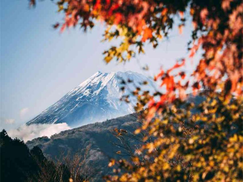 Japan Tour Package Guide: Costs, Visa & Travel Itinerary