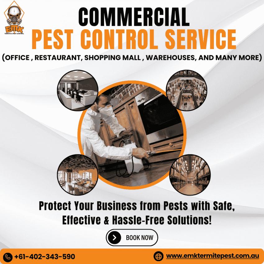 Why Commercial Pest Control Is Essential for Sydney Businesses