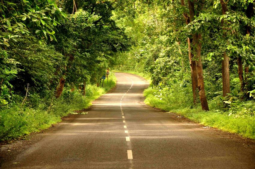 Kerala Road Trip Guide: Routes, Distance & Best Stops to Cover