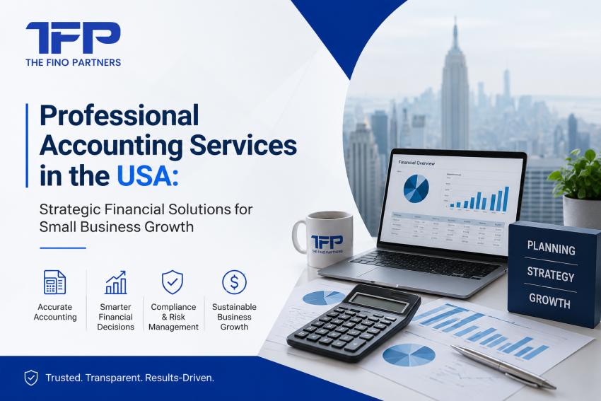 Professional Accounting Services in the USA: Strategic Financial Solutions for Small Business Growth
