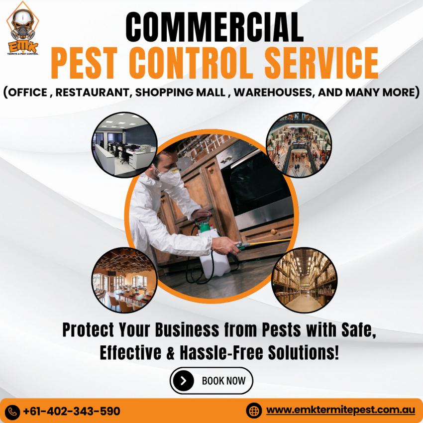 Why Every Sydney Business Needs a Commercial Pest Management Plan