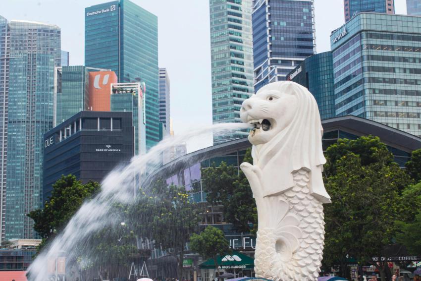 Real Singapore Tour Package Guide: Local Tips & Costs