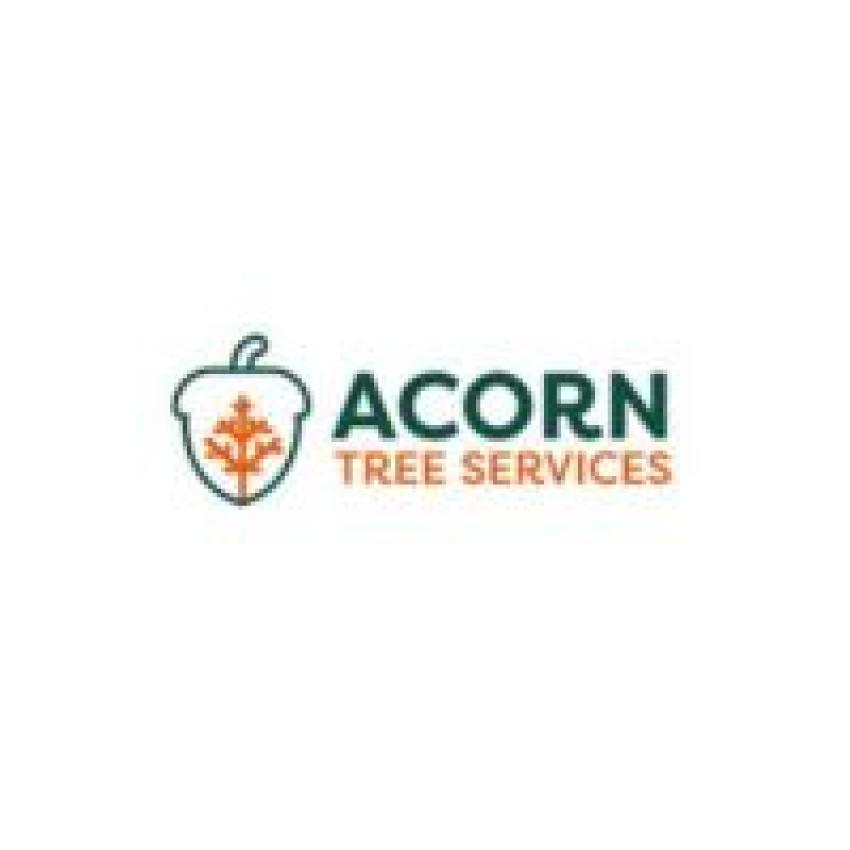 Acorn Tree Services Launches New Website to Better Serve Harrisonburg and Rockingham County
