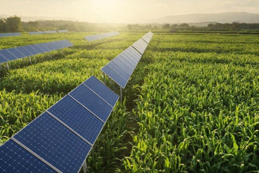 How E-fuel Helps Future-Proof Your Drive Without Starting Over