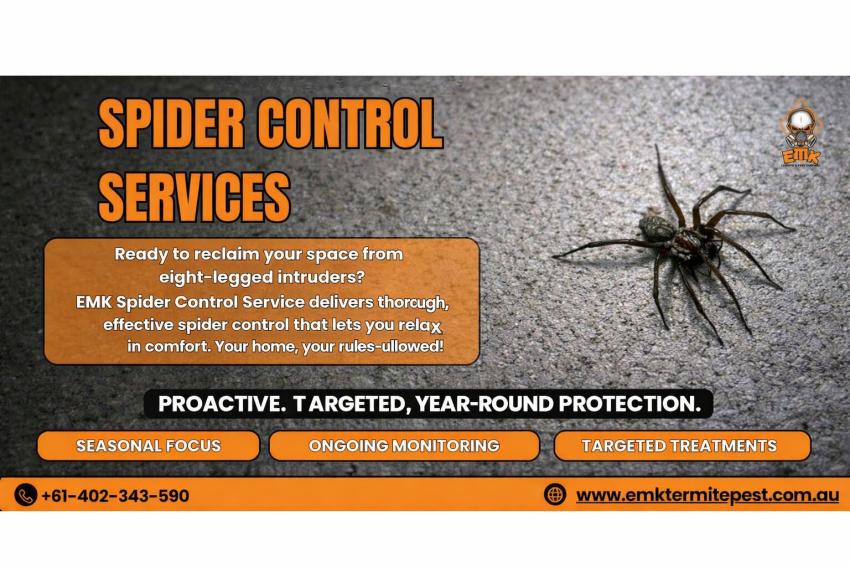 Dangerous Spiders in Sydney Every Homeowner Should Know