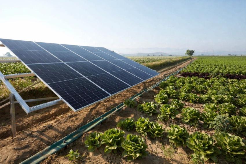 Agri Solar Panel vs Diesel Pumps: Which Saves More Over Time?