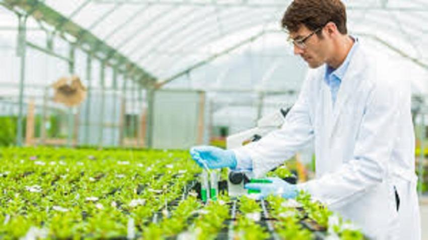 India Agricultural Biologicals Market Size & Share 2026-2034
