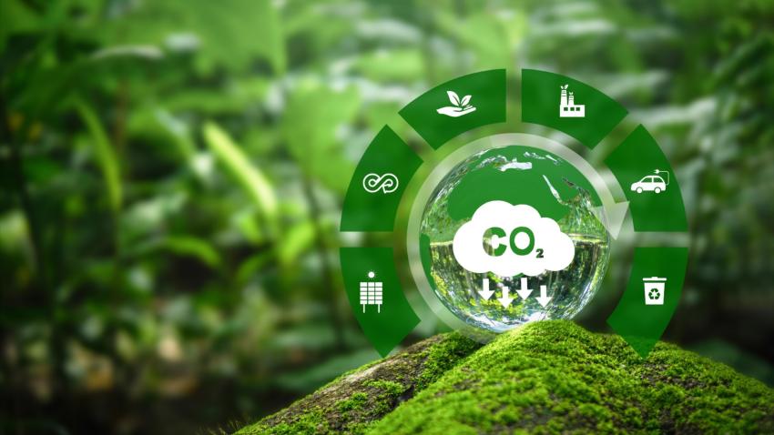 Why Carbon Reduction Efforts Often Stall Without Employee Training