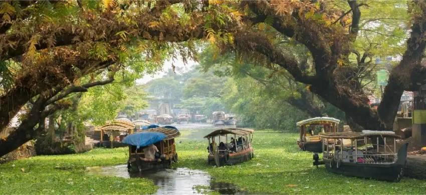 Delhi to Kerala Tour Packages: Enjoy the Best 3 Nights 4 Days Kerala Tour Packages for Family